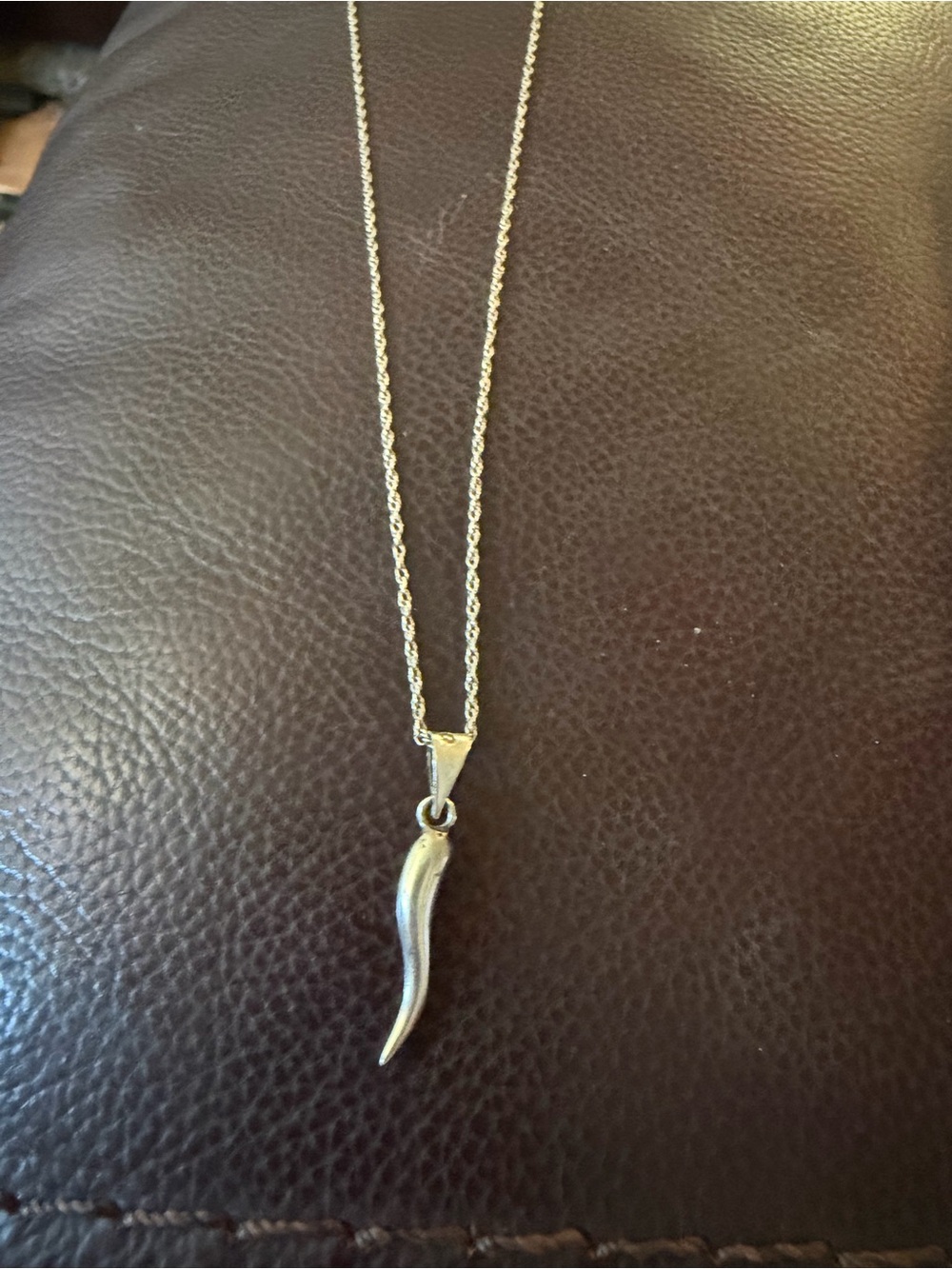 Sterling Silver Curved Horn Pendant Necklace - Silver 16” 925 chain #461
